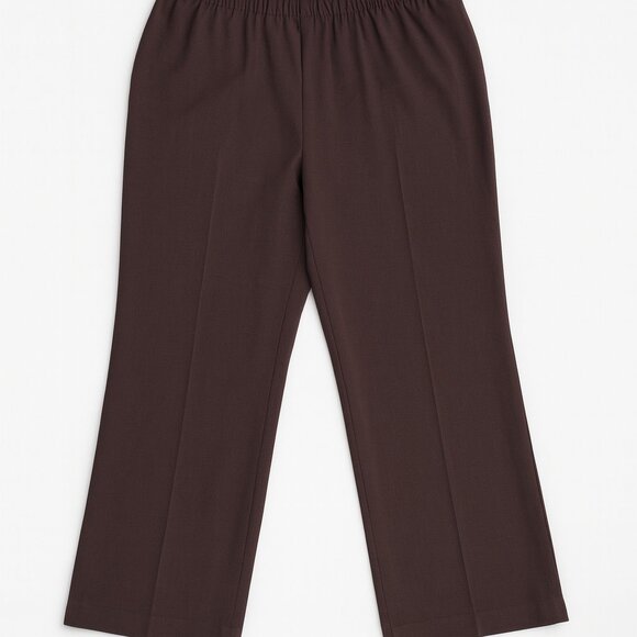 Kim Rogers Caroline Pants 20W Straight Leg Brown Pull On Comfort Fit NWT - Picture 4 of 7